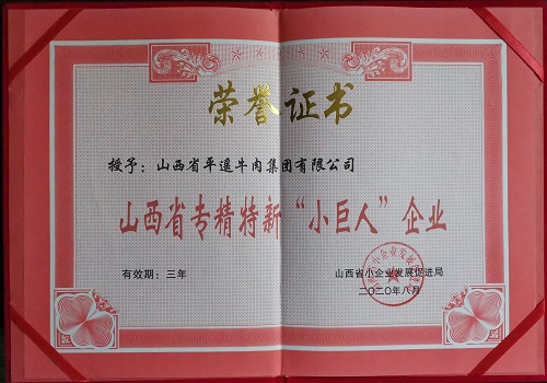 山西省專精特新小巨人企業(yè) 山西省專精特新小巨人企業(yè)